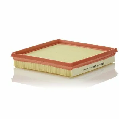 MANN-FILTER C 22 038 Filtro Aria Compra Adesso