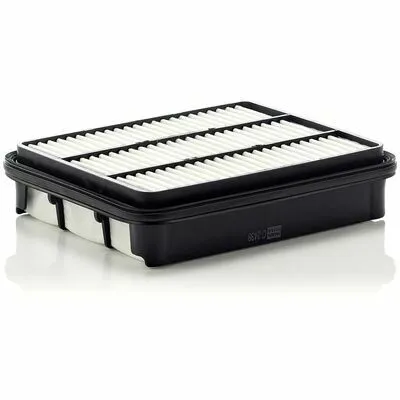MANN-FILTER C 2438 Filtro Aria Popolare