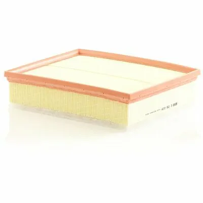 Acquista Ora MANN-FILTER C 29 034 Filtro Aria