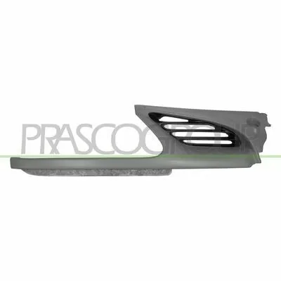 Subito Disponibile PRASCO RN0262113 Griglia Radiatore