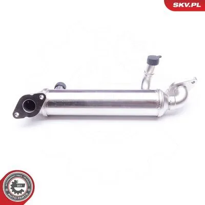 Esclusivo ESEN SKV 14SKV143 Valvola EGR