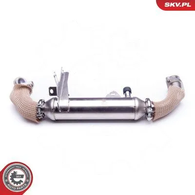 Novità ESEN SKV 14SKV144 Valvola EGR