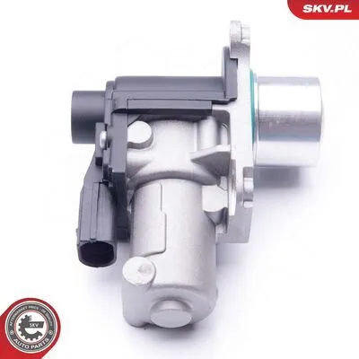 ESEN SKV 14SKV170 Valvola EGR Consegna Rapida