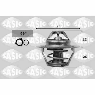 Vendita Finale SASIC 4000363 Termostato, Refrigerante